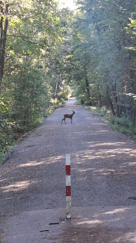 Erlebnisweg Totes Moor