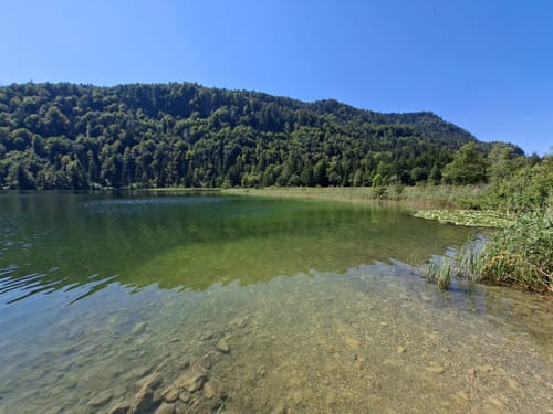 Alpsee - Füssener Altstadt - Kalvarienberg
