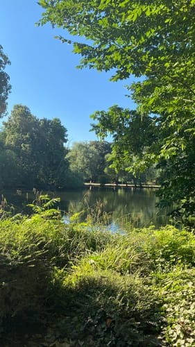Volksgarten Düsseldorf