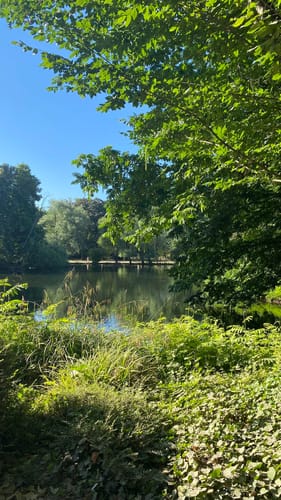 Volksgarten Düsseldorf