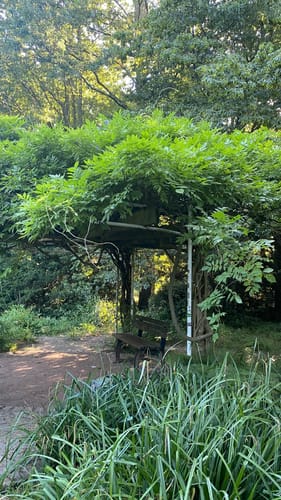 Volksgarten Düsseldorf