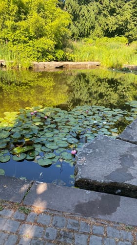 Volksgarten Düsseldorf