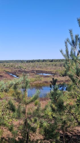 Erlebnisweg Totes Moor