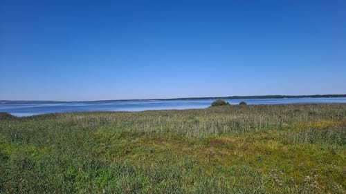 Erlebnisweg Totes Moor