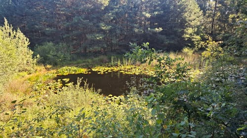 Erlebnisweg Totes Moor