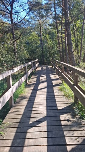 Erlebnisweg Totes Moor