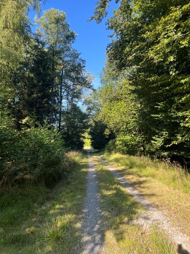 Bleiwäsche B3