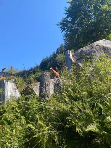 Menzenschwander Wasserfälle - Gschweih