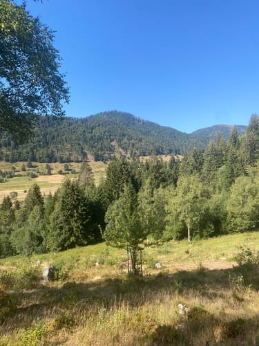 Menzenschwander Wasserfälle - Gschweih