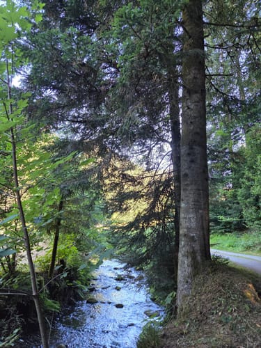 Rund um den kleiner Kinzigtalstausee