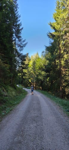 Rund um den kleiner Kinzigtalstausee