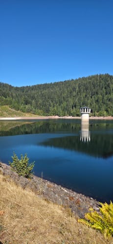 Rund um den kleiner Kinzigtalstausee