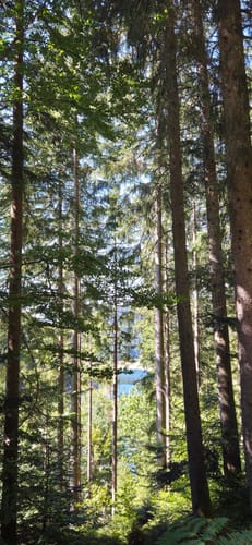 Rund um den kleiner Kinzigtalstausee