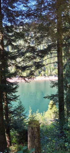 Rund um den kleiner Kinzigtalstausee