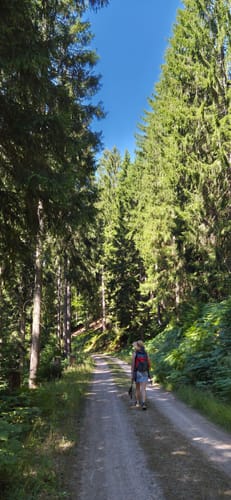 Rund um den kleiner Kinzigtalstausee