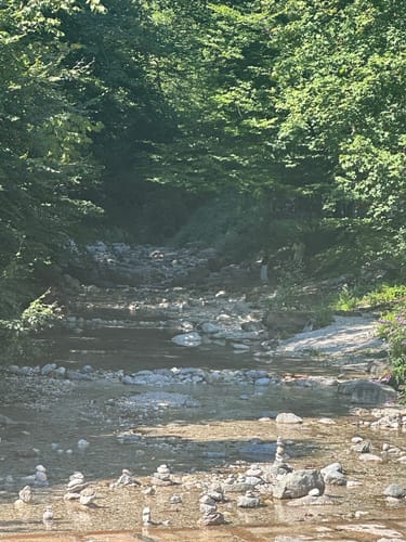 Almbachklamm (Premiumwanderweg)