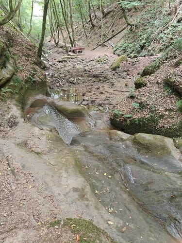 Römerpfad (Premiumwanderweg)