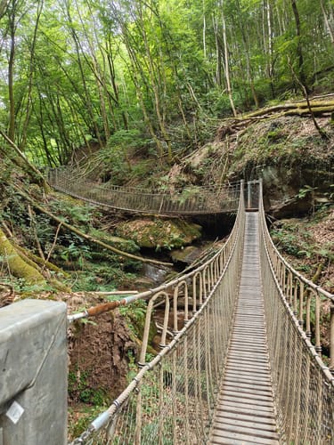 Römerpfad (Premiumwanderweg)