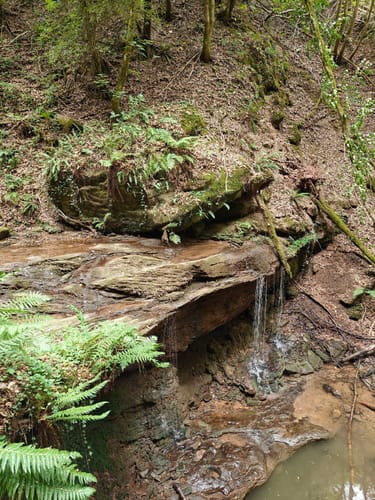 Römerpfad (Premiumwanderweg)