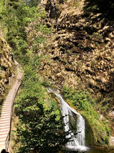 Allerheiligen-Wasserfall zum Schliffkopf Rundweg