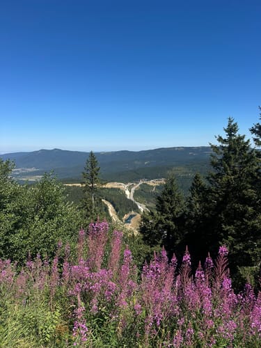 Großer Arber und Arbersee