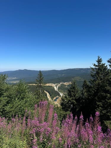 Großer Arber und Arbersee