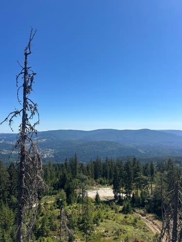 Großer Arber und Arbersee