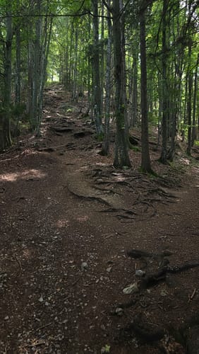 Tegernsee Bergrunde