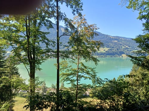 Vom Alpsee zur Siedelalpe