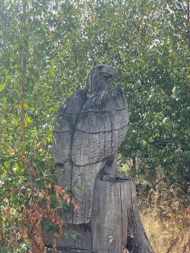 Sandplacken: Klingenkopf & Roßkopf