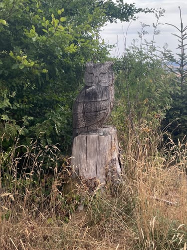 Sandplacken: Klingenkopf & Roßkopf