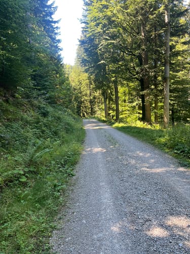 Alpbach und Riederstein Rundweg