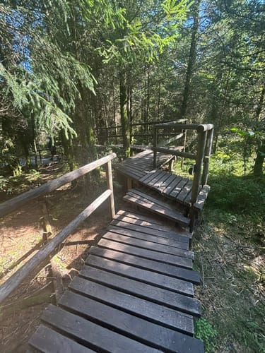 Schliffkopf - Lotharpfad