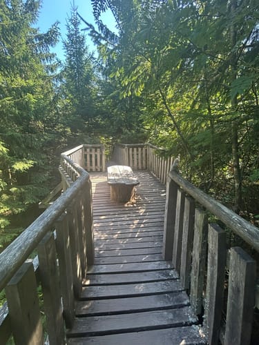 Schliffkopf - Lotharpfad