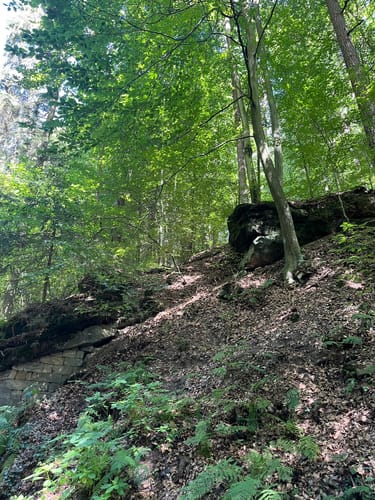 Von Wehlen zur Bastei