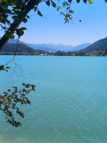 Vom Alpsee zur Siedelalpe