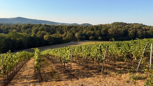 Auerbacher Schlossweg