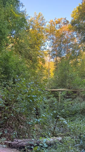 Auerbacher Schlossweg