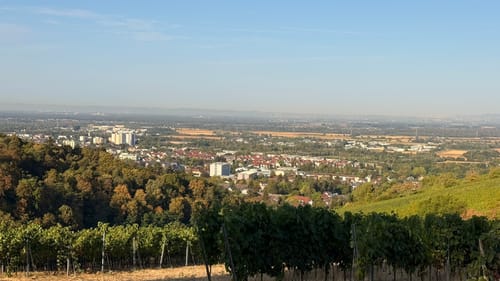 Auerbacher Schlossweg