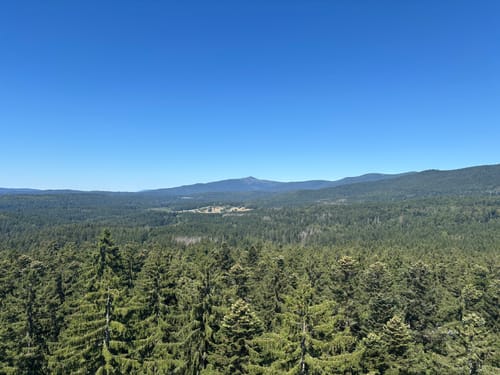 Baumwipfelpfad und Tier-Freigelände im Nationalpark Bayerischer Wald