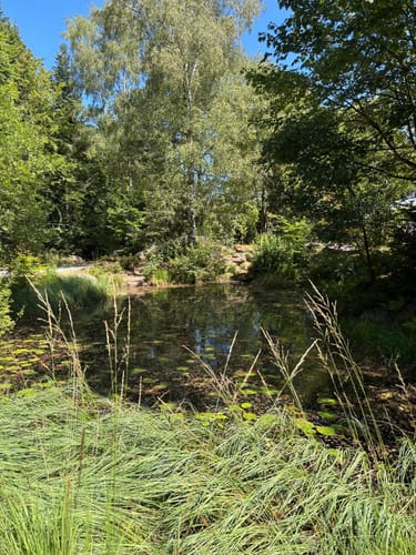 Baumwipfelpfad und Tier-Freigelände im Nationalpark Bayerischer Wald