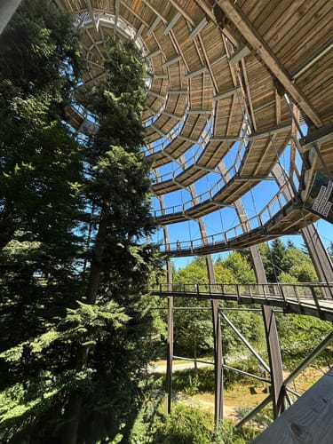 Baumwipfelpfad und Tier-Freigelände im Nationalpark Bayerischer Wald