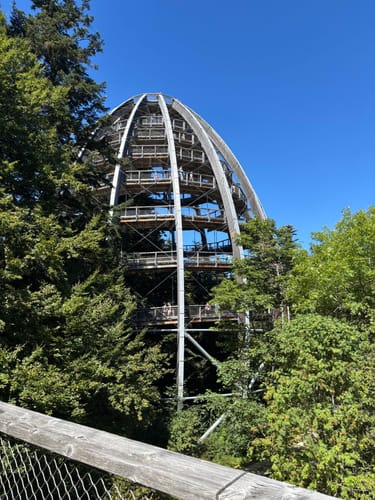 Baumwipfelpfad und Tier-Freigelände im Nationalpark Bayerischer Wald