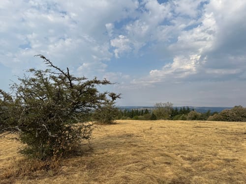 Kesseling - Staffel - Steinerberghaus