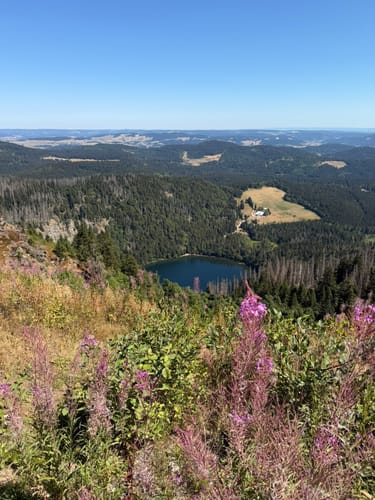Feldbergsteig (Genießerpfad)