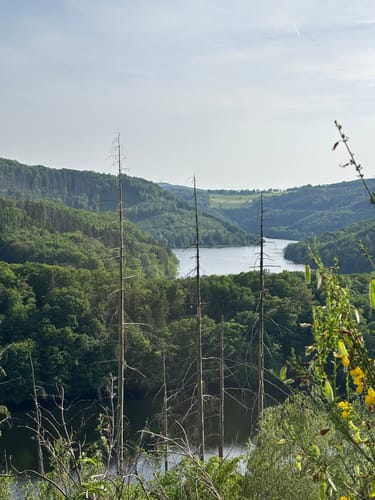 Nationalpark auf einen Blick