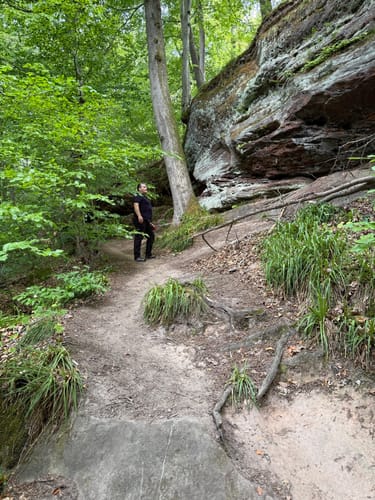 Ensheimer Brunnenweg (Premiumwanderweg)