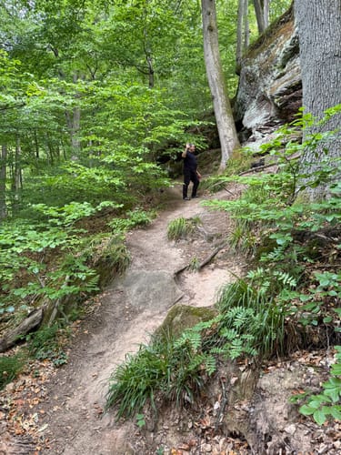 Ensheimer Brunnenweg (Premiumwanderweg)