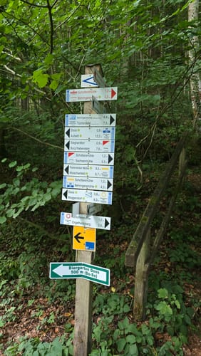 Rundweg Riesenburg - Engelhardsberg - Schottersmühle