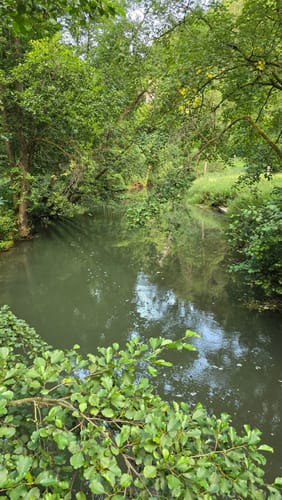 Rundweg Riesenburg - Engelhardsberg - Schottersmühle